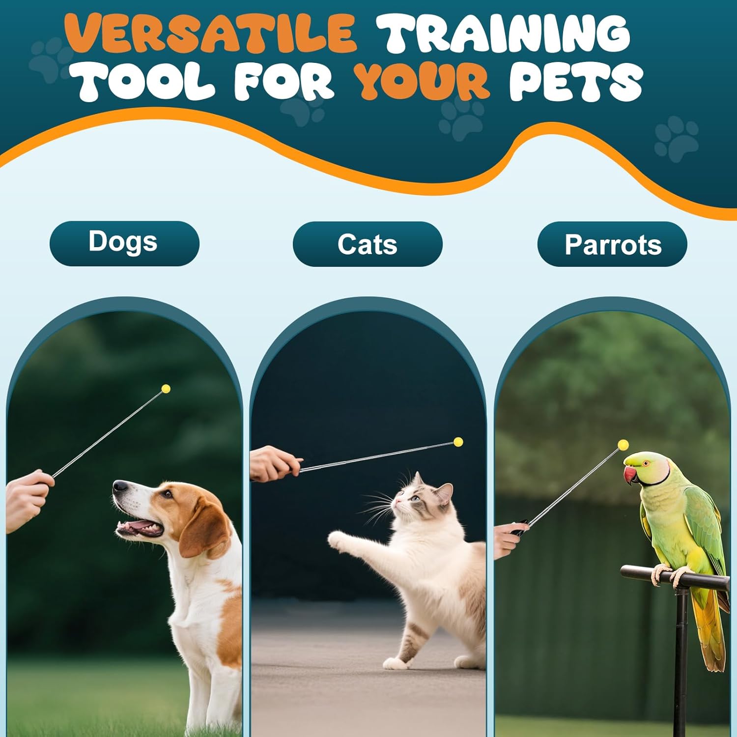 Dog Training Clicker with Target Stick – Portable & Retractable Trainer with Comfortable Handle and Bright Target Ball – Dog Agility Training Aids, Essential Tools & Equipment for Puppies, Cats & Pets - Image 7