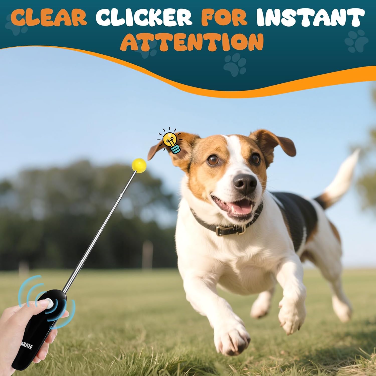 Dog Training Clicker with Target Stick – Portable & Retractable Trainer with Comfortable Handle and Bright Target Ball – Dog Agility Training Aids, Essential Tools & Equipment for Puppies, Cats & Pets - Image 5