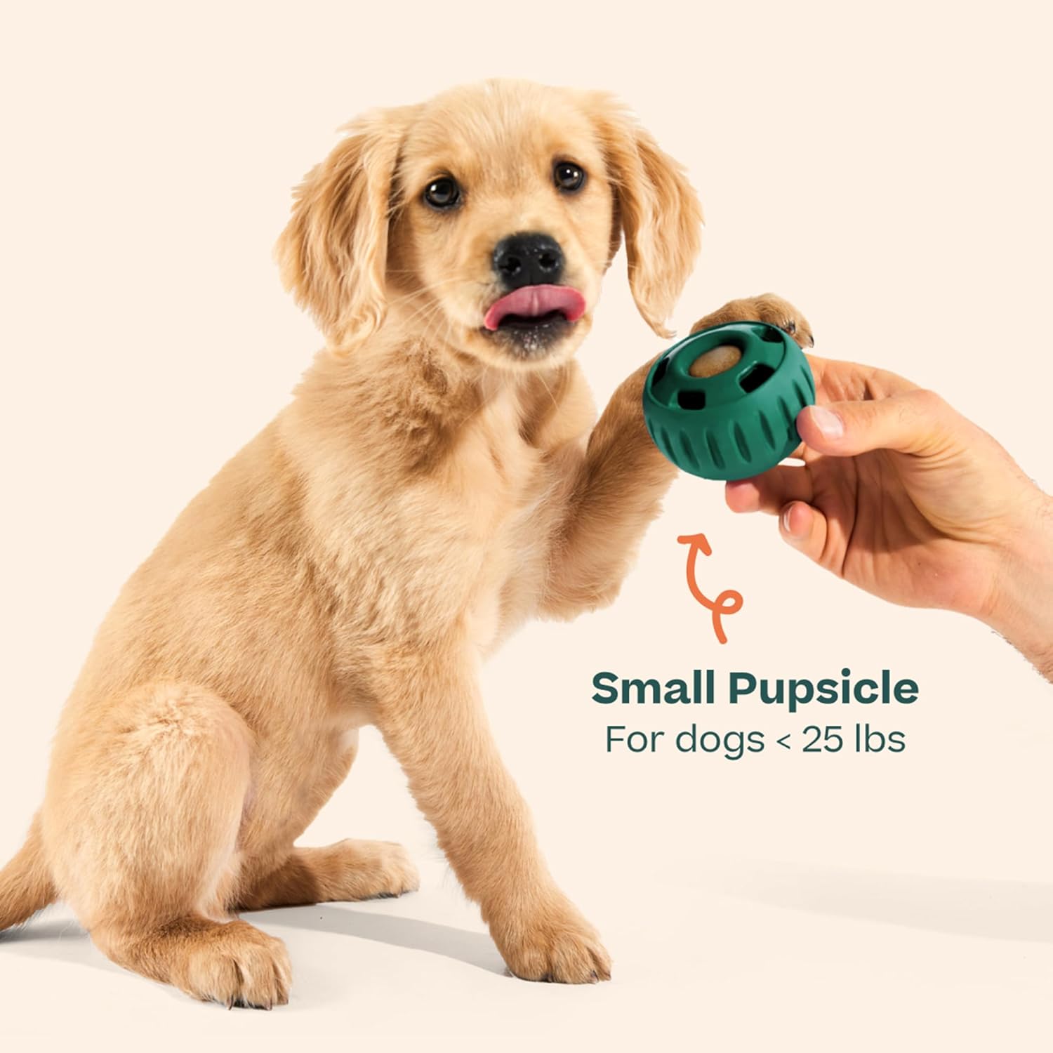 WOOF Pupsicle - Long-Lasting Interactive Dog Ball Toy to Keep Your Pup Busy and Distracted - Safe for Dogs - Low-Mess Design - Dog Toys for Medium and Large Dogs 25-75 lbs - Image 9