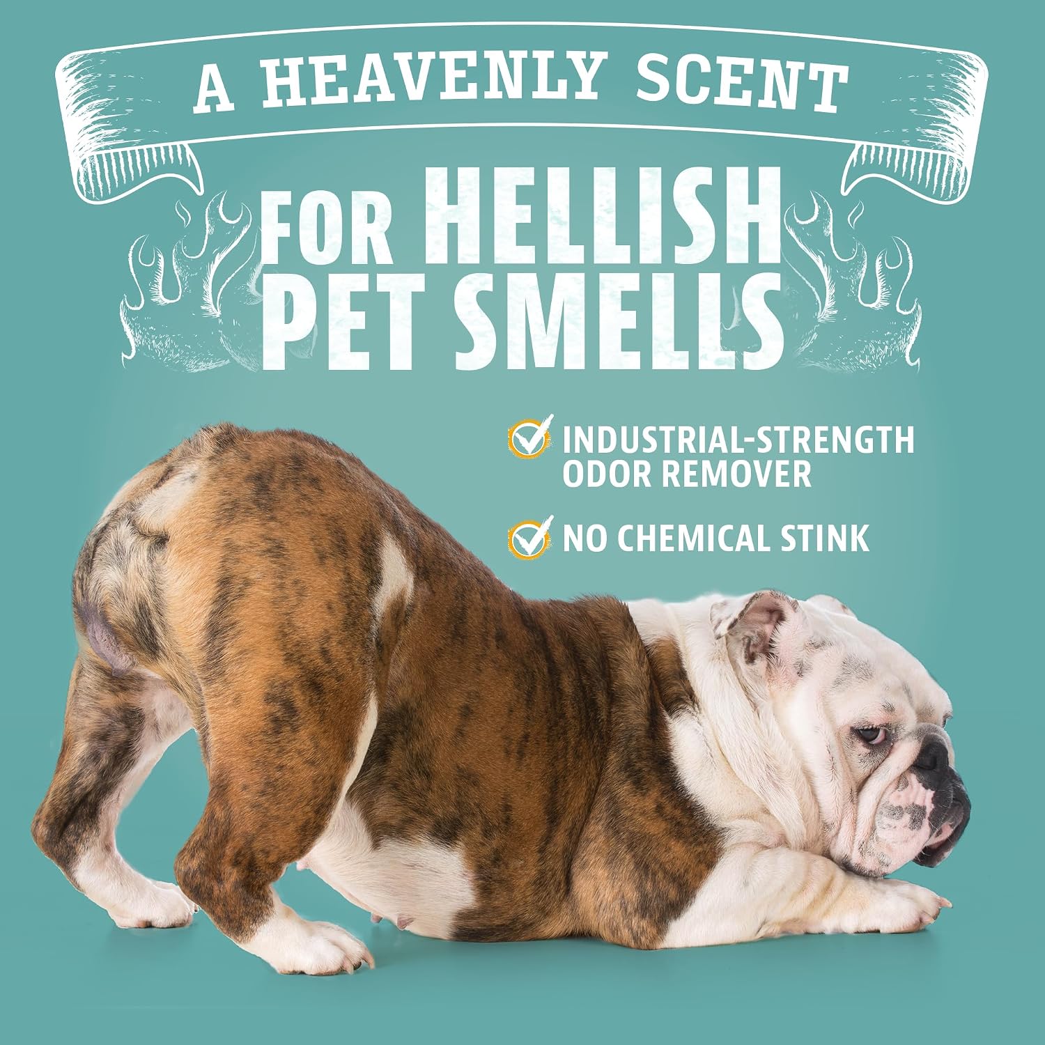 Angry Orange Pet Odor Eliminator for Dog and Cat Urine, Carpet Stains, and Strong Smells – Orange Rush Scent Cleaner – 1 Gallon - Image 8