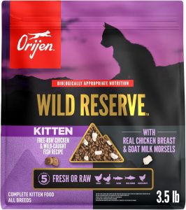 Kitten Food