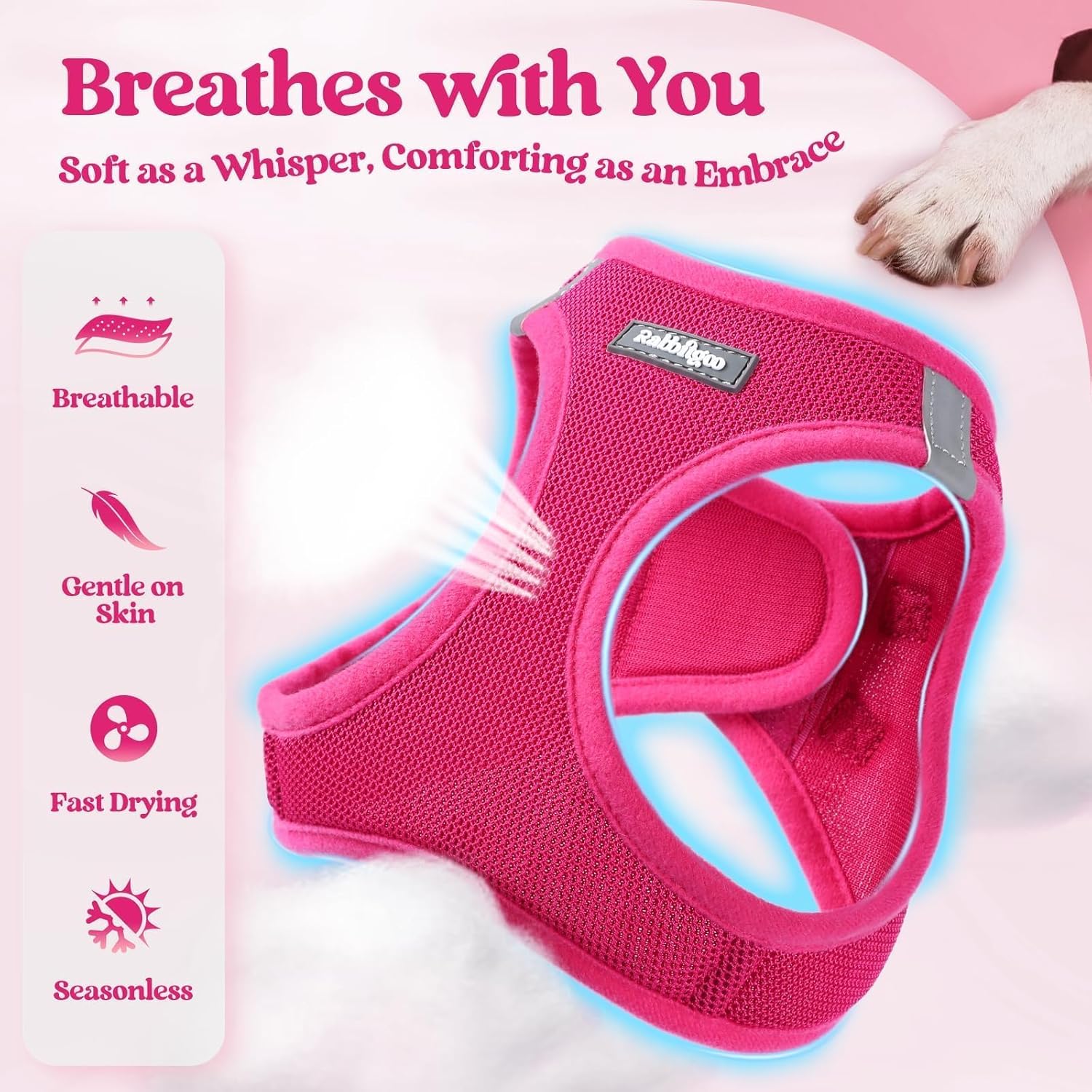 rabbitgoo Dog Harness Small Sized and Leash Set, Step in Soft Light Puppy Vest, Breathable Mesh Pet Harness, Reflective for Safe Easy Walking, Rose Red S - Image 4