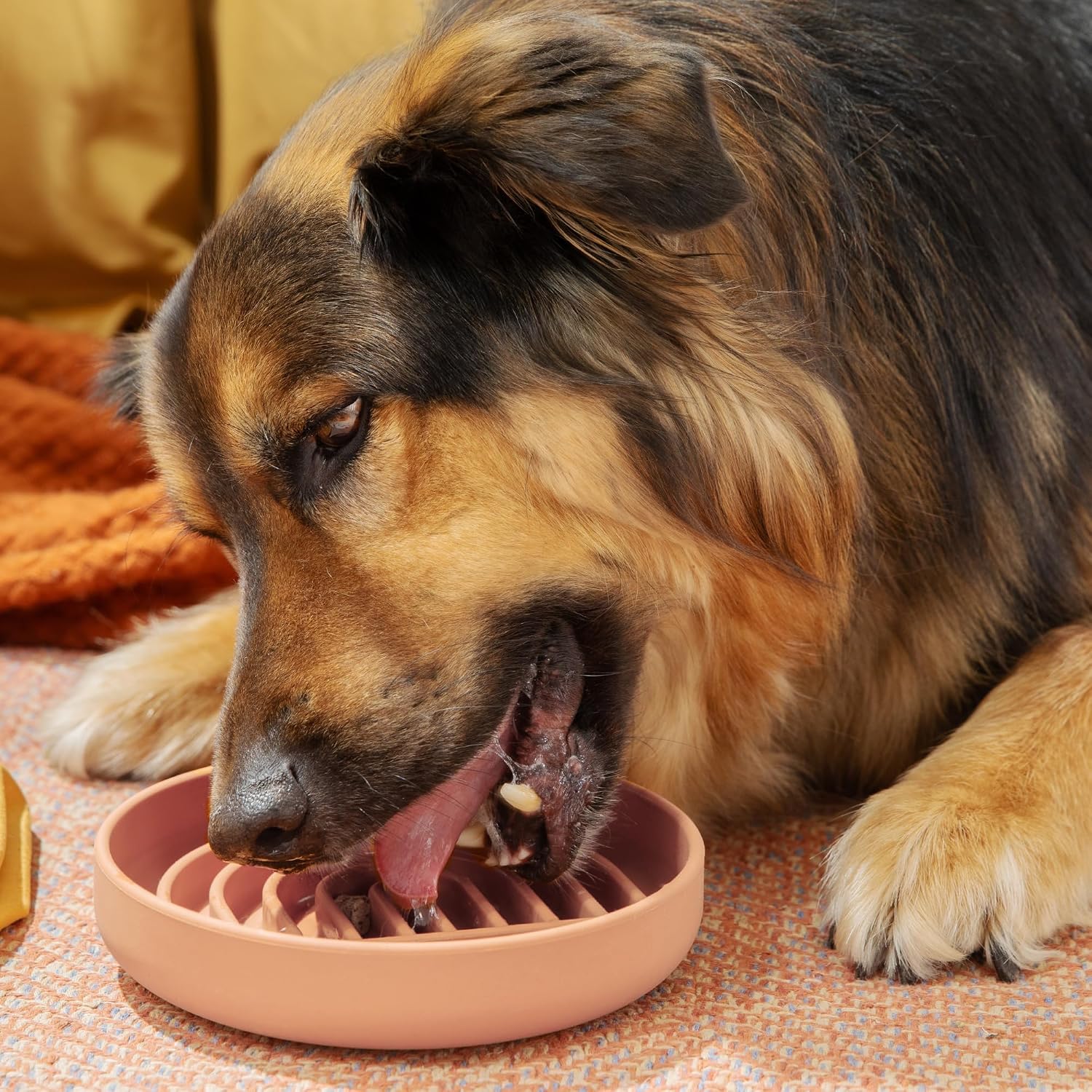 Should We Go? Slow Feeder Dog Bowls - Medium Size Silicone Slow Eating Dog Bowl for Puppies & Dogs with Suction Cup -Dishwasher-Safe, Lick Mat Design, Reduces Gulping,for All Breeds,7.5”x1.5”- Blush - Image 2