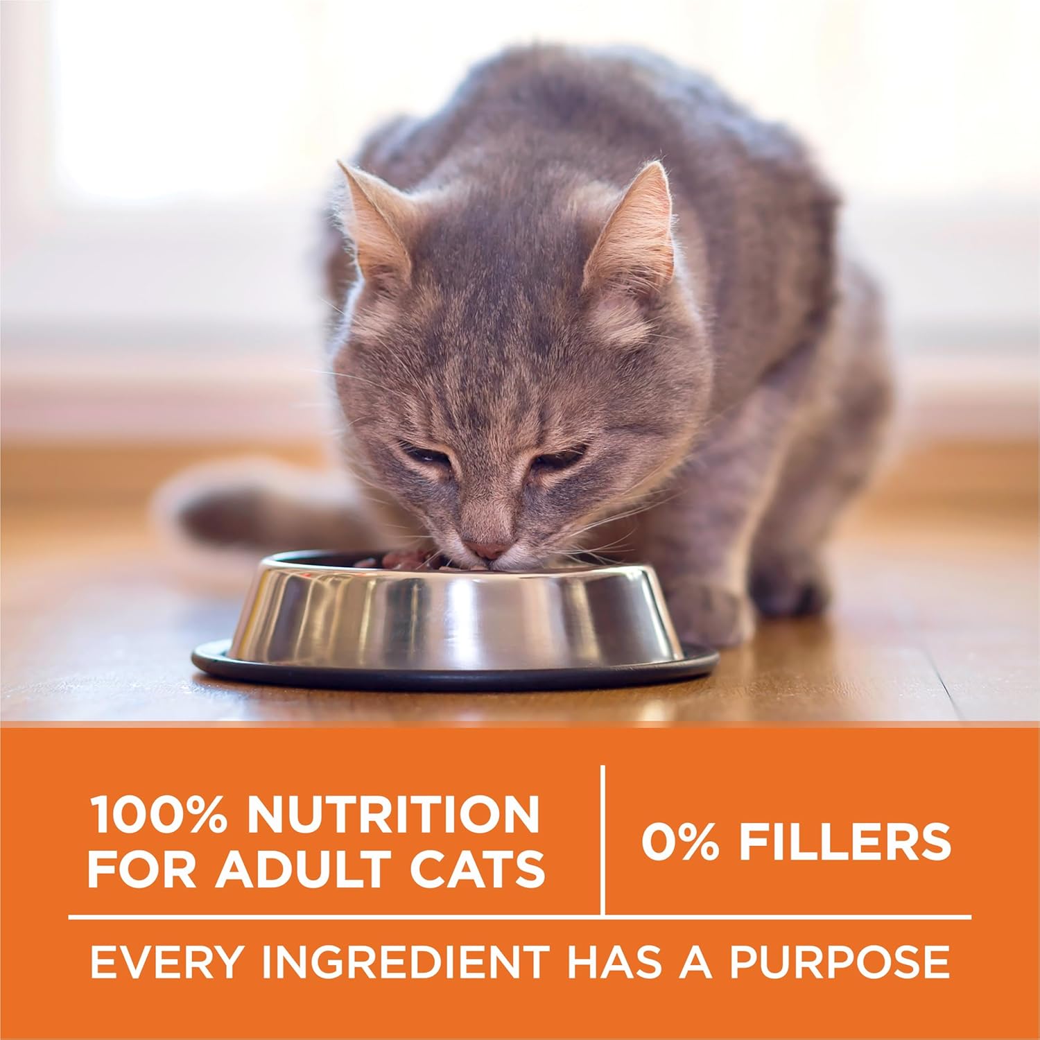 Purina ONE High Protein, Healthy Plus Ideal With Chicken Dry Cat Food Control Formula - 7 lb. Bag - Image 7