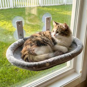 Cat Window Perch Hammock – Gl...