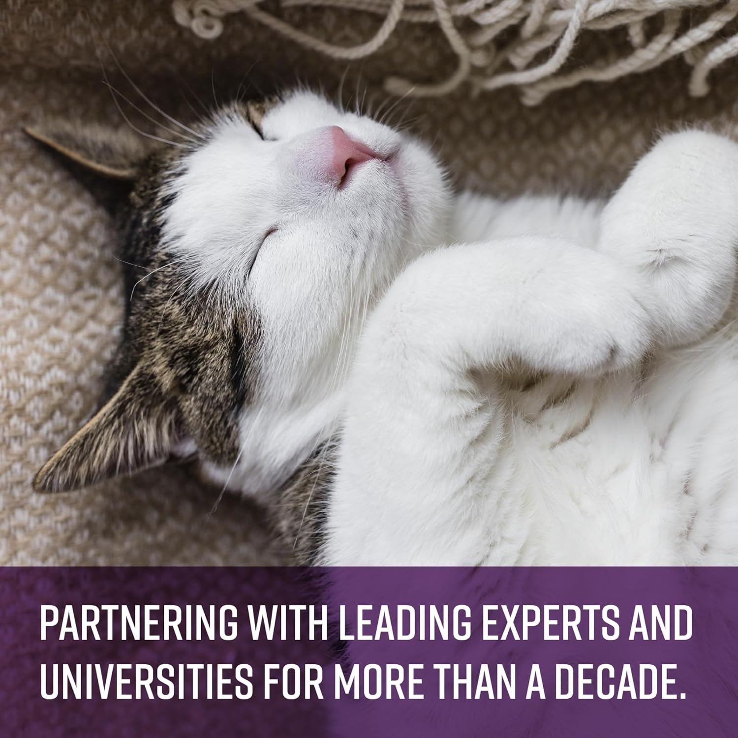 Sentry Calming Chews for Cats, Calming Aid Helps to Manage Stress, With Pheromones That May Help Curb Destructive Behavior, Calming Health Supplement for Cats, 4 oz. - Image 4