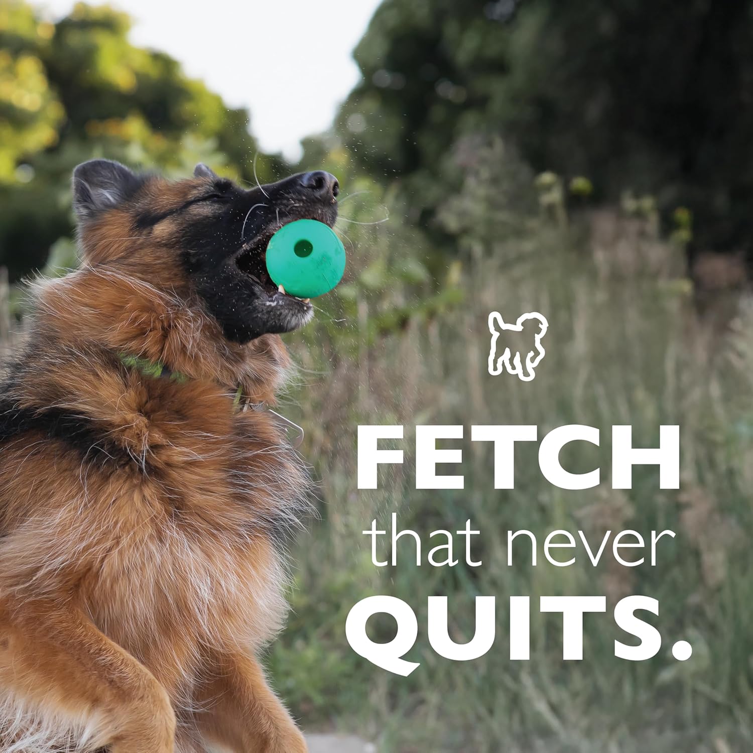 Chew King Fetch Balls Extremely Durable Natural Rubber Toy Pack of 3 - 3 inch Balls (CM-0263-CS01) - Image 7