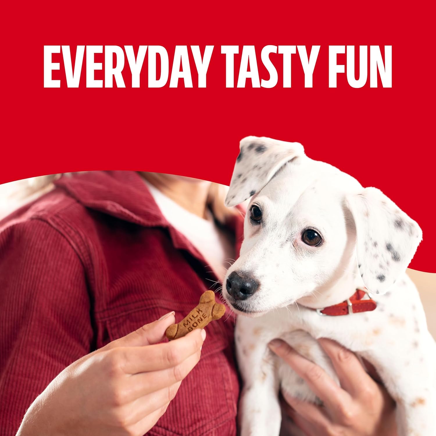 Milk-Bone Soft & Chewy Dog Treats, Made with Real Chicken, 25 Ounce Canister - Image 5