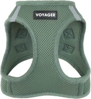 Best Pet Supplies Voyager Step-in A...