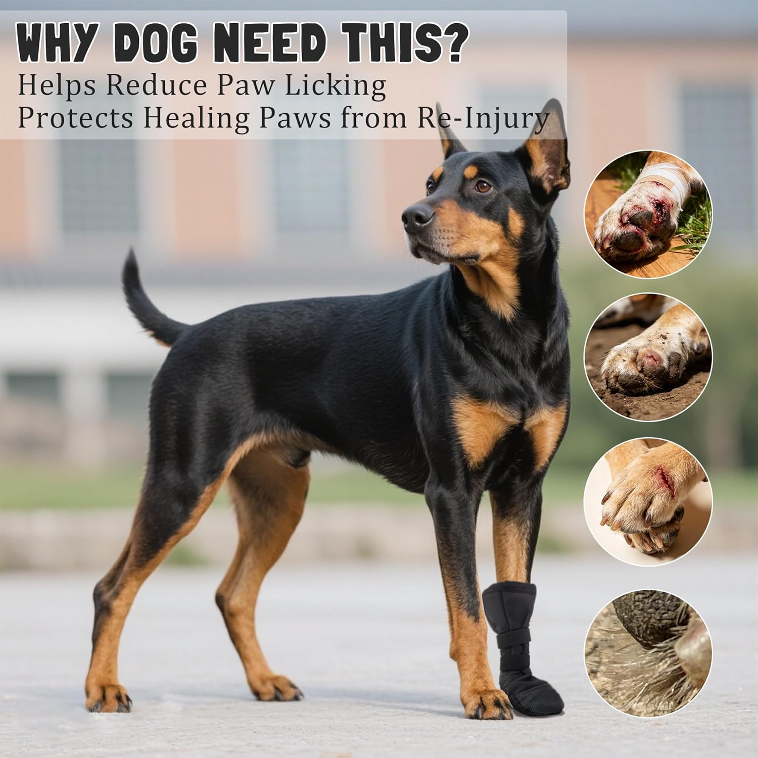 Dog Paw Wound Recovery Boot, Lick-Proof Protection, Non-Slip Pet Shoe with Self-Adhesive Strap, Soft Protector for Medium to Large Dogs (L) - Image 2