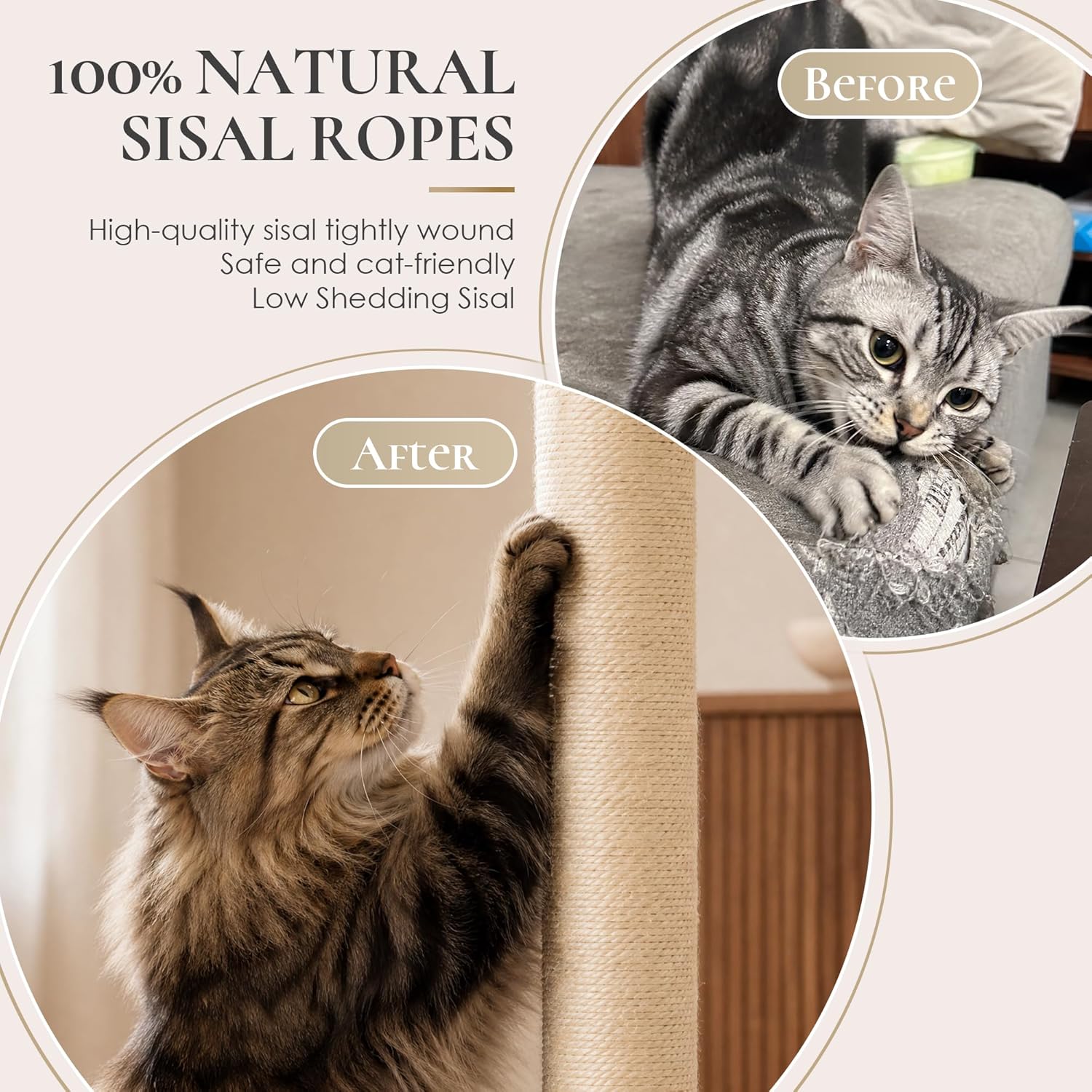 35 Inch Cat Scratching Post, Eucalyptus Sisal Rope Cat Tree Tower with Hanging Ball & Interactive Mouse Toy, Durable Scratcher for Indoor Adult Cats - Image 2