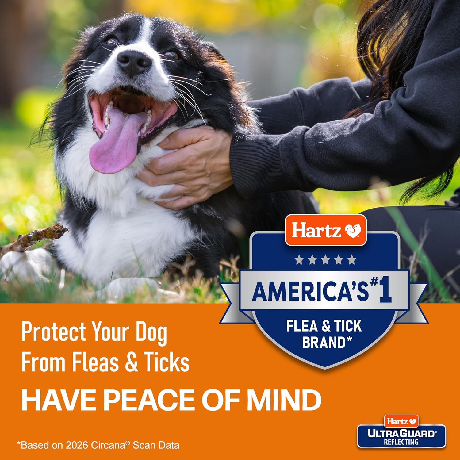 Hartz UltraGuard Flea & Tick Collar for Dogs and Puppies - Image 6