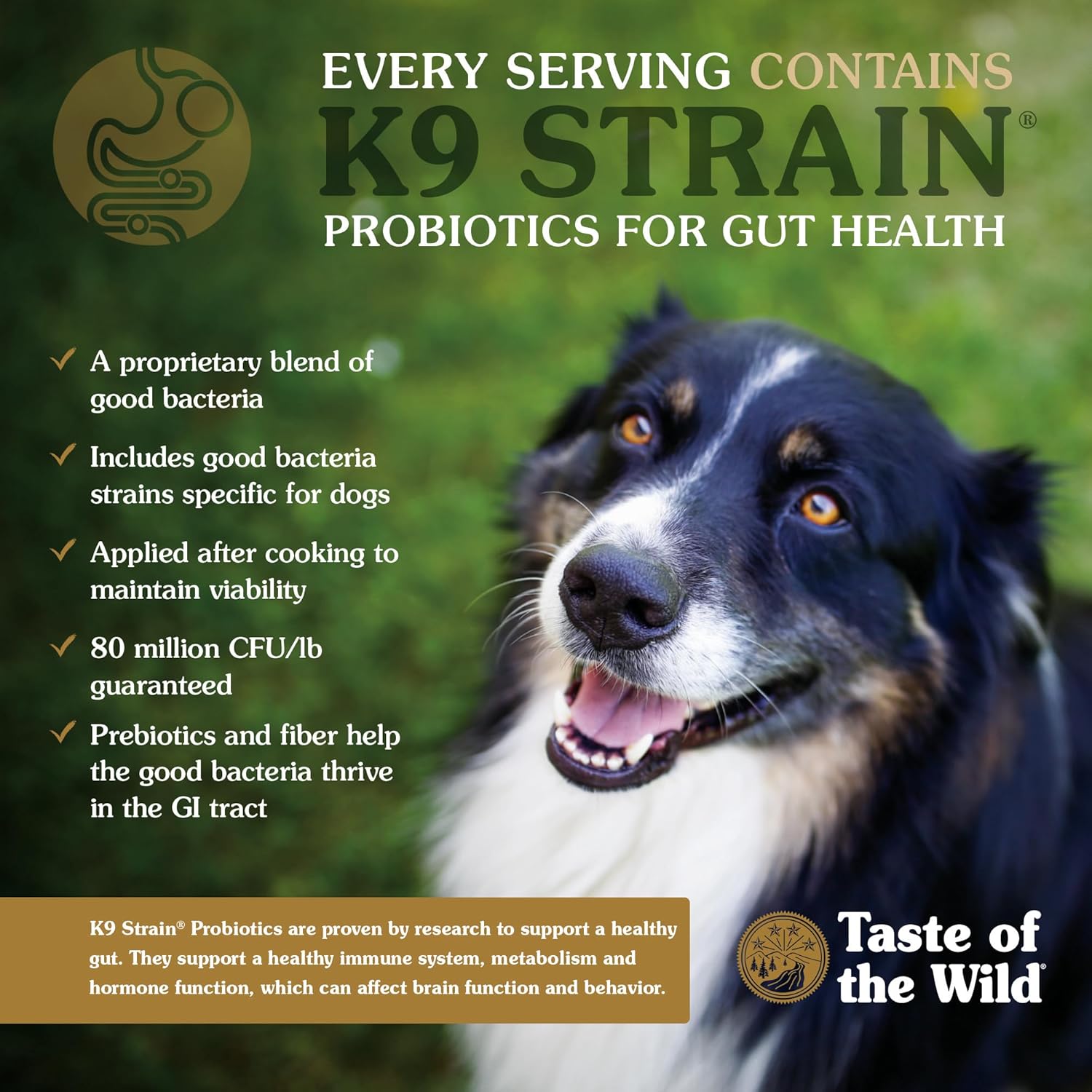 Taste of the Wild High Prairie Adult High Protein Grain-Free Recipe with Roasted Bison & Roasted Venison Dry Dog Food 14lb - Image 6