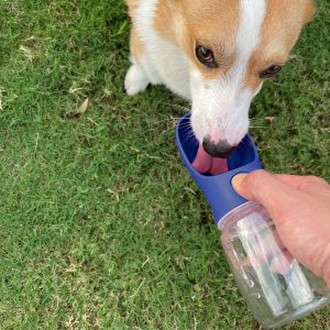 WePet Portable Dog Water Bottle, 12...