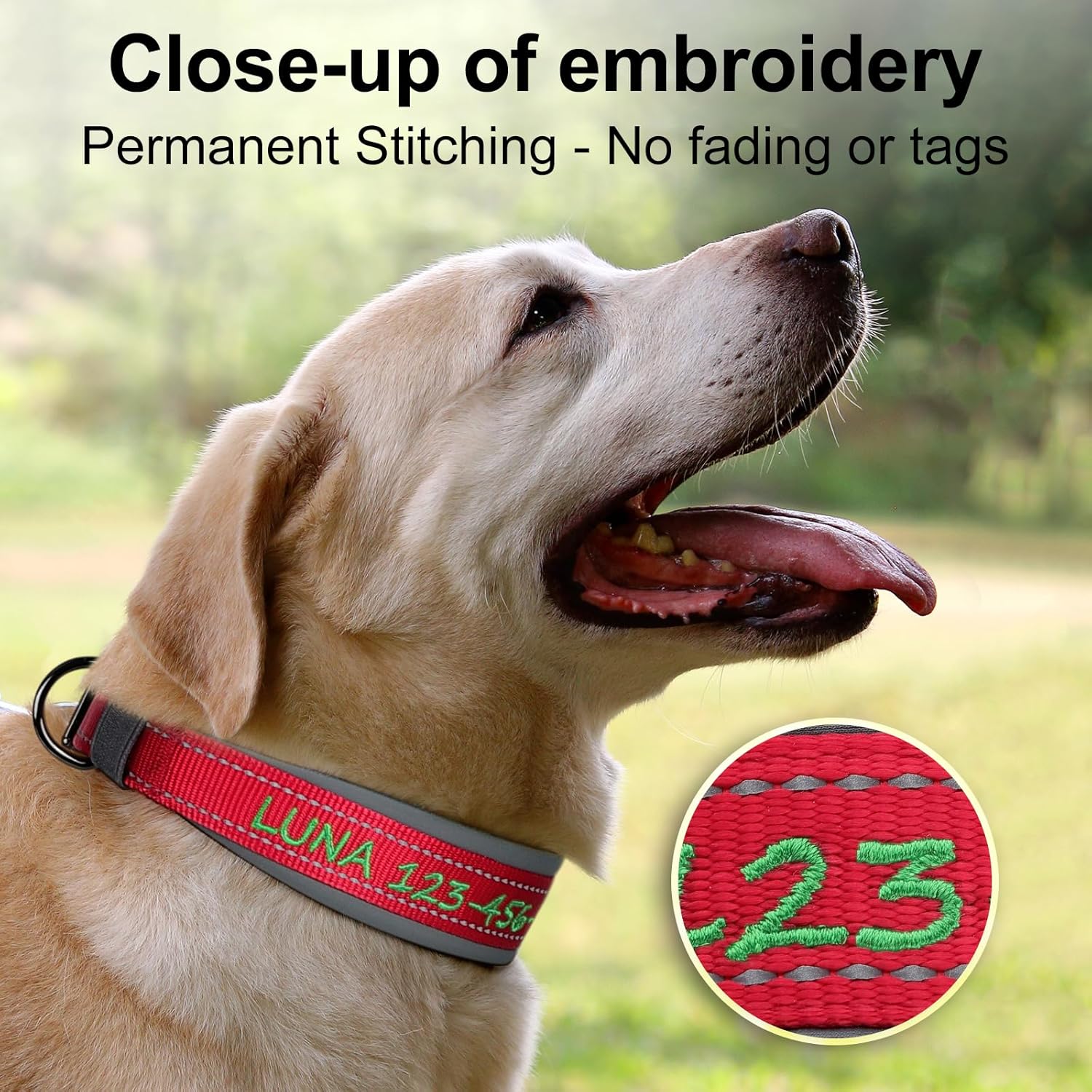 Personalized Dog Collar, Embroidered Name & Phone Number, Custom Reflective Nylon Pet Collar, Adjustable with Soft Neoprene Padding and Metal Buckle for Small Medium Large Dogs - Image 2