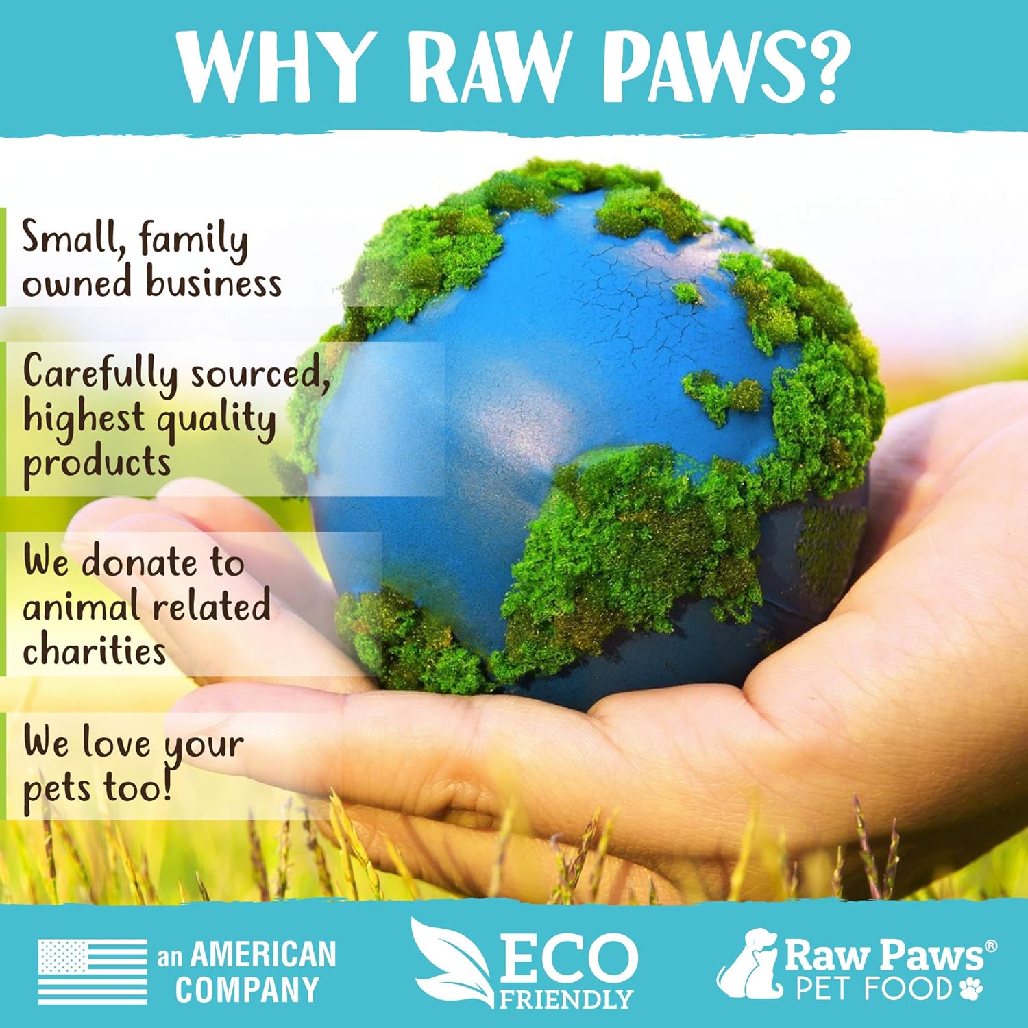 Raw Paws Silvervine Sticks for Cats (30 Pack) - Silvervine Cat Toy for Indoor Cats - Catnip Sticks - Silver Vine Cat Chew Stick - Image 6