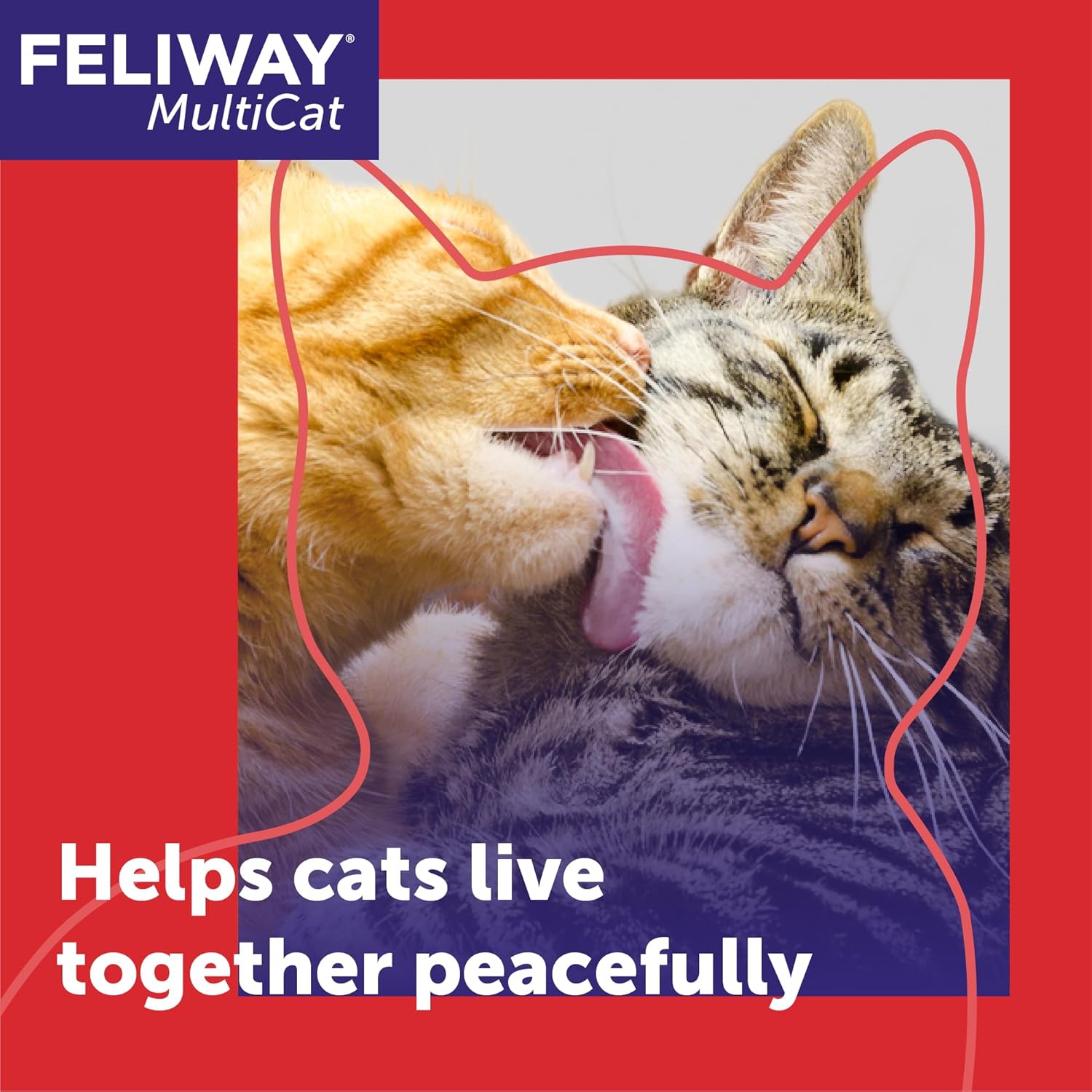 FELIWAY MultiCat 30 Day Cat Calming Plug In Pheromone Diffuser Starter Kit, 48ml - Helps Reduce Conflicts and Signs of Tension in Multi-Cat Households - Image 2