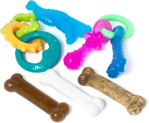 Nylabone New Puppy Starter Kit, 5 C...