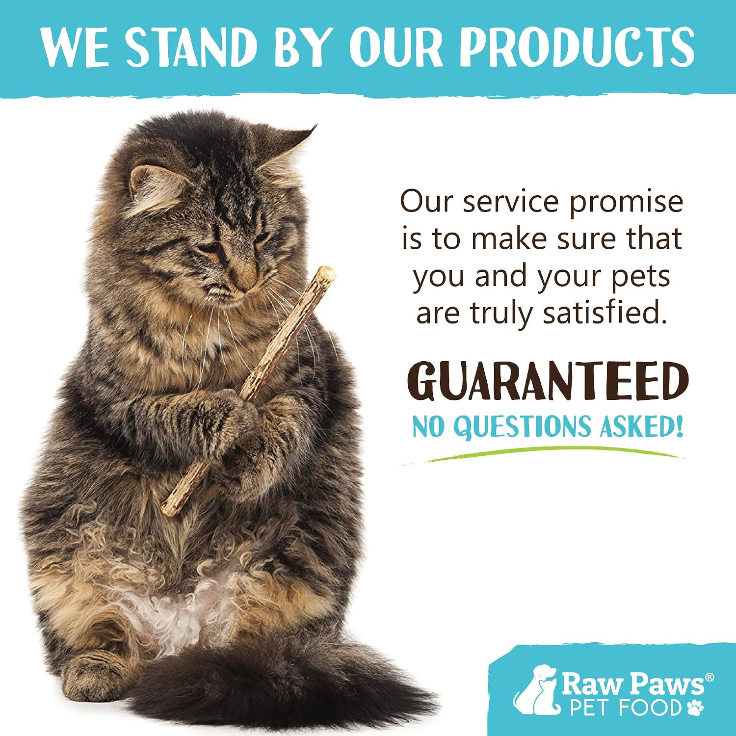 Raw Paws Silvervine Sticks for Cats (30 Pack) - Silvervine Cat Toy for Indoor Cats - Catnip Sticks - Silver Vine Cat Chew Stick - Image 7