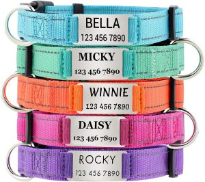 Personalized Dog Collars with Custo...