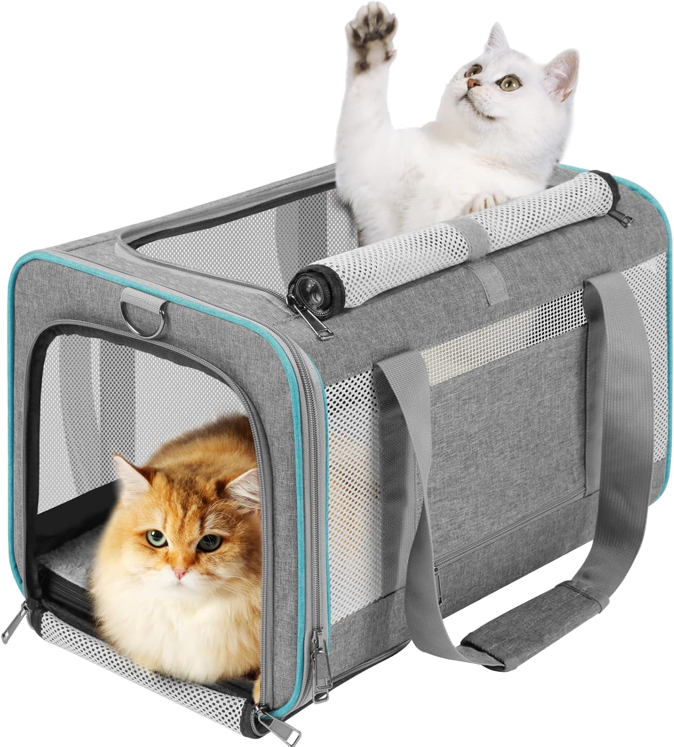 GAPZER Pet Carrier for Large Cats 20 lbs+ / Soft Sided Small Dog Travel Carriers Top Load/Collapsible Carrier Bag for Big Cat / 2 Kittens Sturdy Transport Carriers Long Trips/Medium Cats 15 pounds