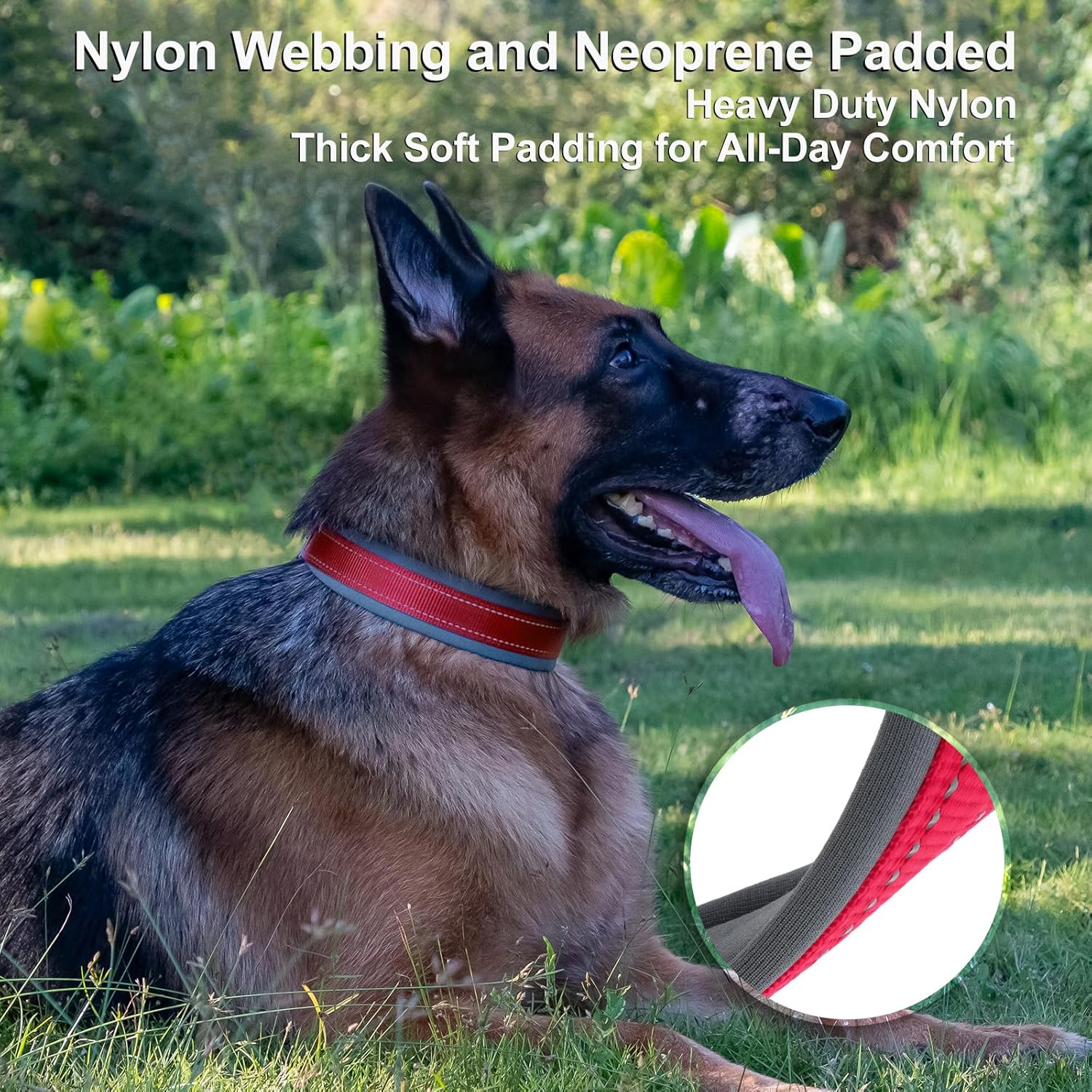 Personalized Dog Collar, Embroidered Name & Phone Number, Custom Reflective Nylon Pet Collar, Adjustable with Soft Neoprene Padding and Metal Buckle for Small Medium Large Dogs - Image 4