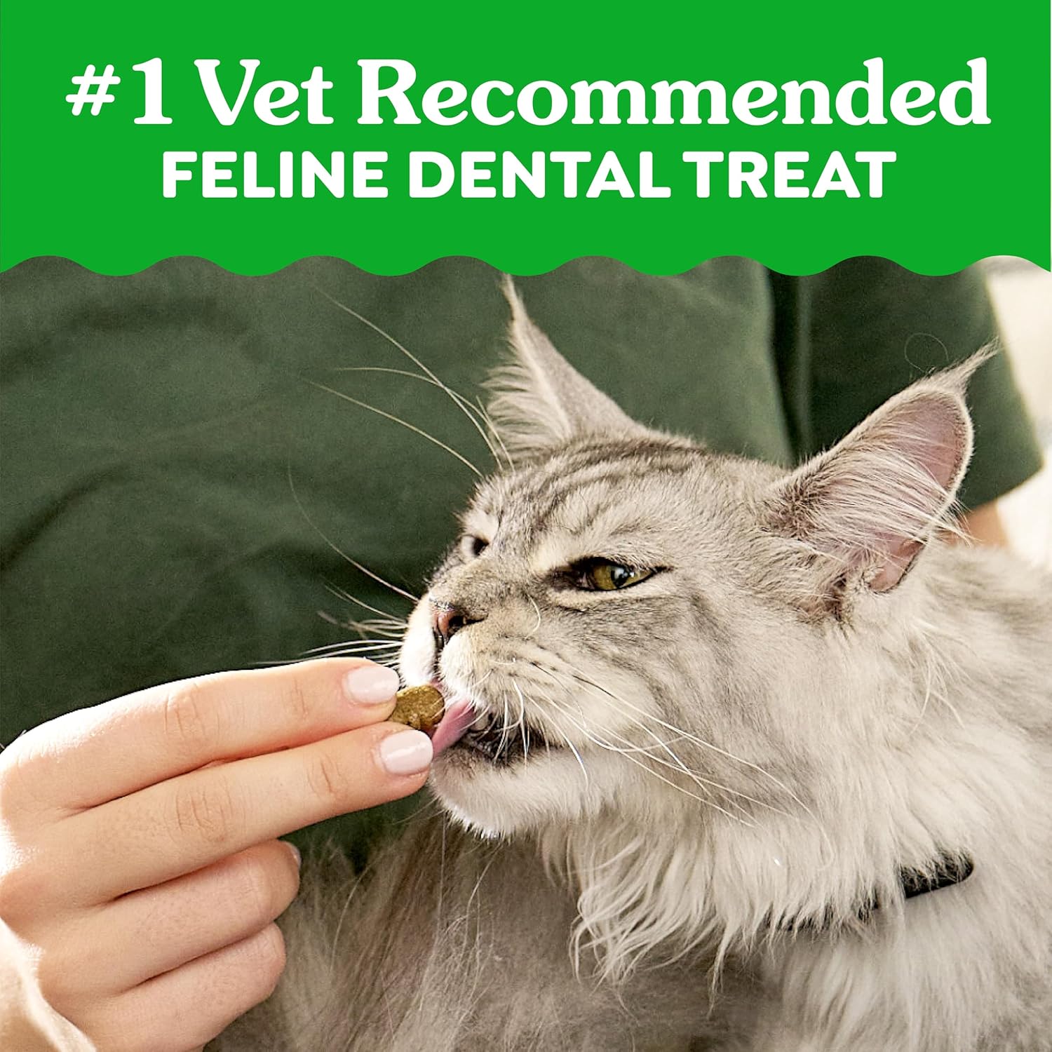 Greenies Cat Treats, Feline Veterinarian-Recommended Adult Natural Dental Cat Treats, Oven Roasted Chicken Flavor, 9.75 oz. Tub - Image 4