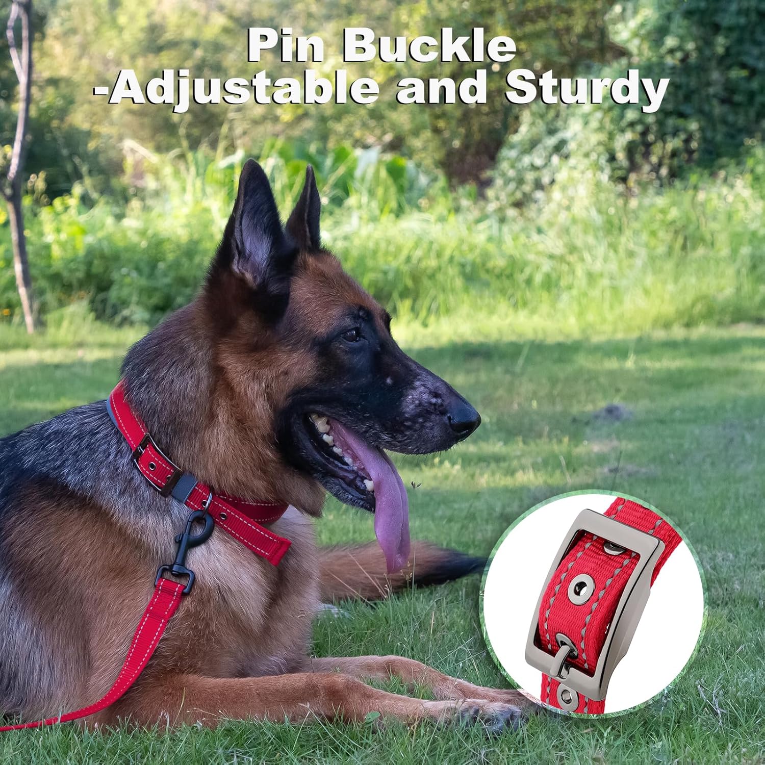 Personalized Dog Collar, Embroidered Name & Phone Number, Custom Reflective Nylon Pet Collar, Adjustable with Soft Neoprene Padding and Metal Buckle for Small Medium Large Dogs - Image 3