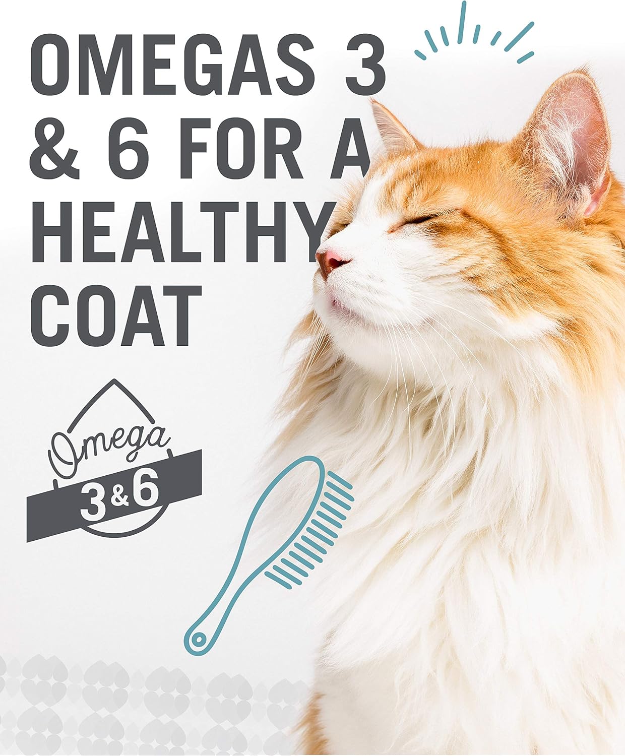 I and love and you Wet Cat Food - Ninja Cat Jiu Jit Stew Variety Pack - Chicken, Salmon, Tuna, Grain Free, Filler Free, 3oz Pack of 12 Cans - Image 8