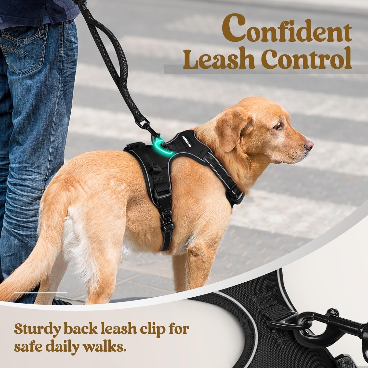 rabbitgoo Dog Harness No Pull with 2 Leash Clips, Adjustable Soft Padded, Reflective Oxford No Choke Pet Vest with Easy Control Handle for Large Dogs, Black, L - Image 6