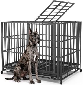 Dog Crates