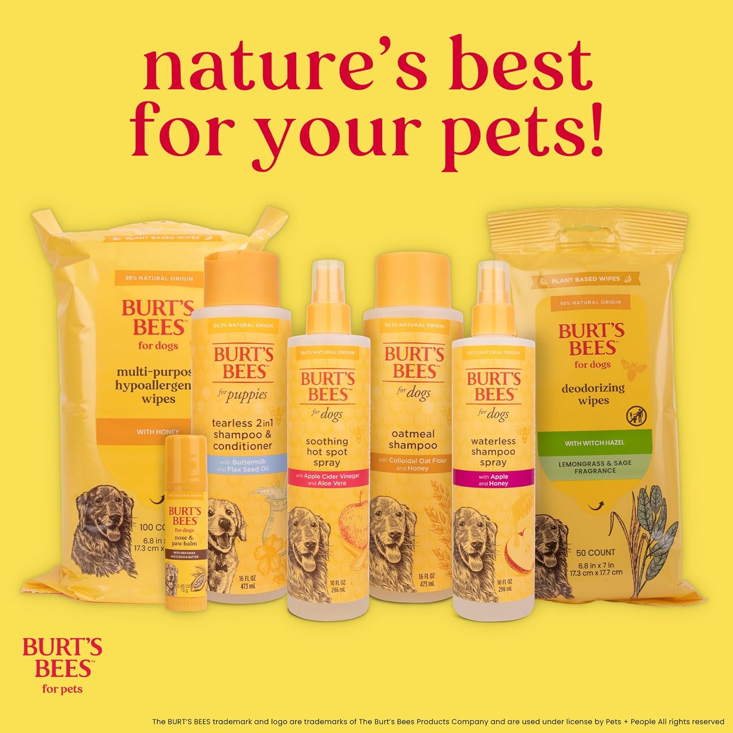 Burt's Bees for Pets Itch Soothing Shampoo with Honeysuckle, 95% Natural Origin, Dog Shampoo for Itchy Skin Relief, pH Balanced, Free of Sulfates and Parabens, 16 Fl Oz - Image 12