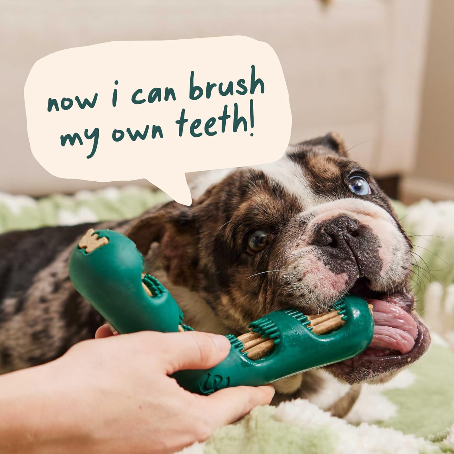 WOOF The Bite n' Brush - Dog Toothbrush Toy - Scrub Plaque and Tartar from Your Dog's Teeth and Mouth - Dog Dental Chew Toy - Small - Image 8