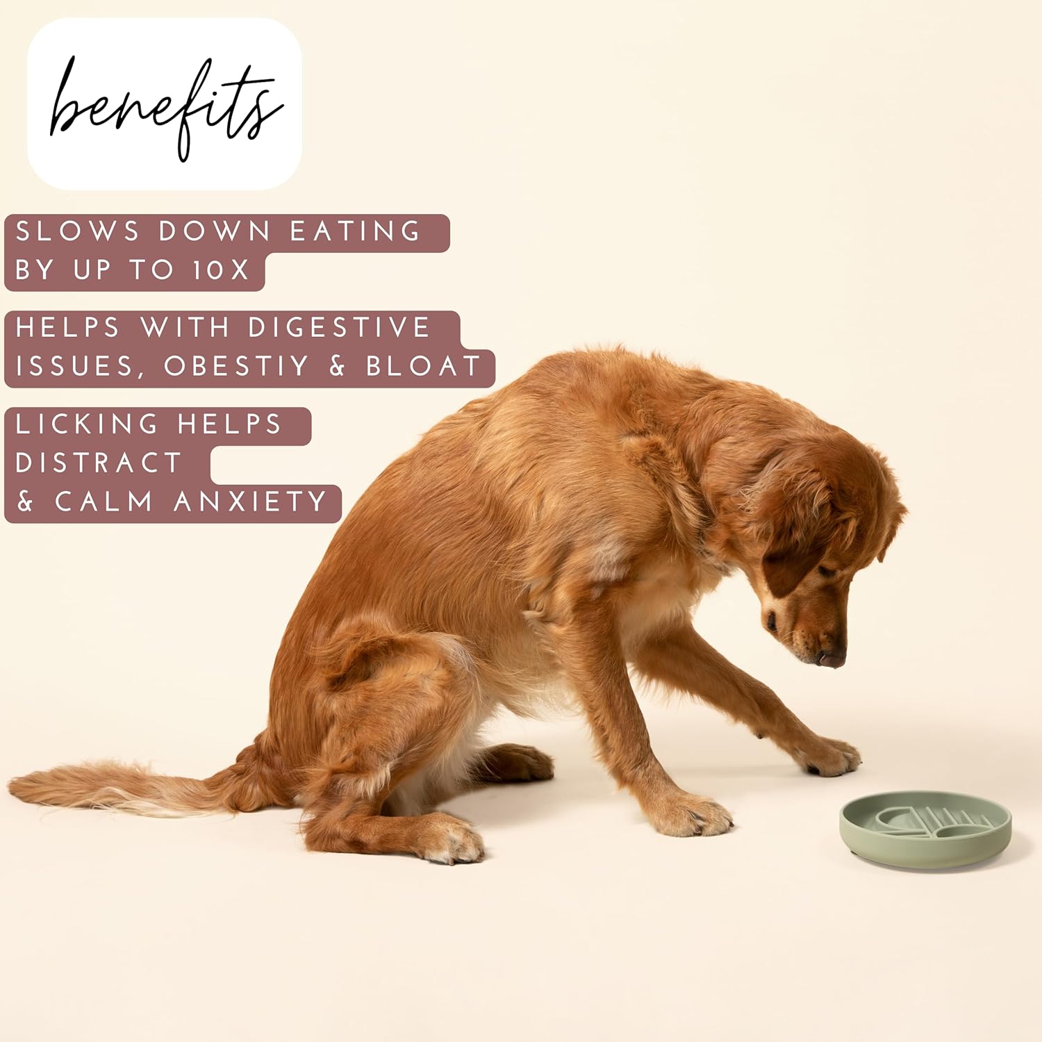 Should We Go? Slow Feeder Dog Bowls - Medium Size Silicone Slow Eating Dog Bowl for Puppies & Dogs with Suction Cup -Dishwasher-Safe, Lick Mat Design, Reduces Gulping,for All Breeds,7.5”x1.5”- Sage - Image 3