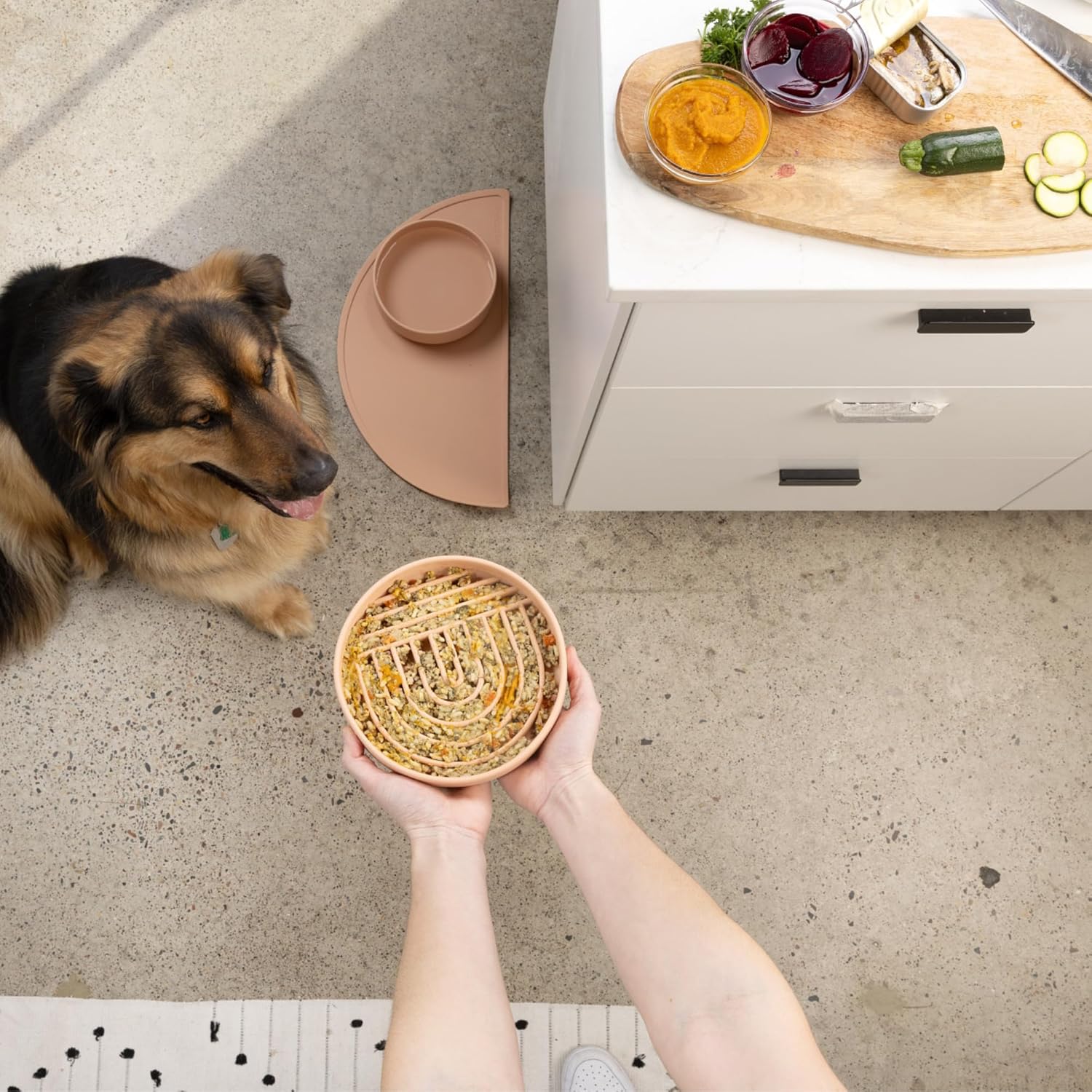 Should We Go? Slow Feeder Dog Bowls - Medium Size Silicone Slow Eating Dog Bowl for Puppies & Dogs with Suction Cup -Dishwasher-Safe, Lick Mat Design, Reduces Gulping,for All Breeds,7.5”x1.5”- Blush - Image 4