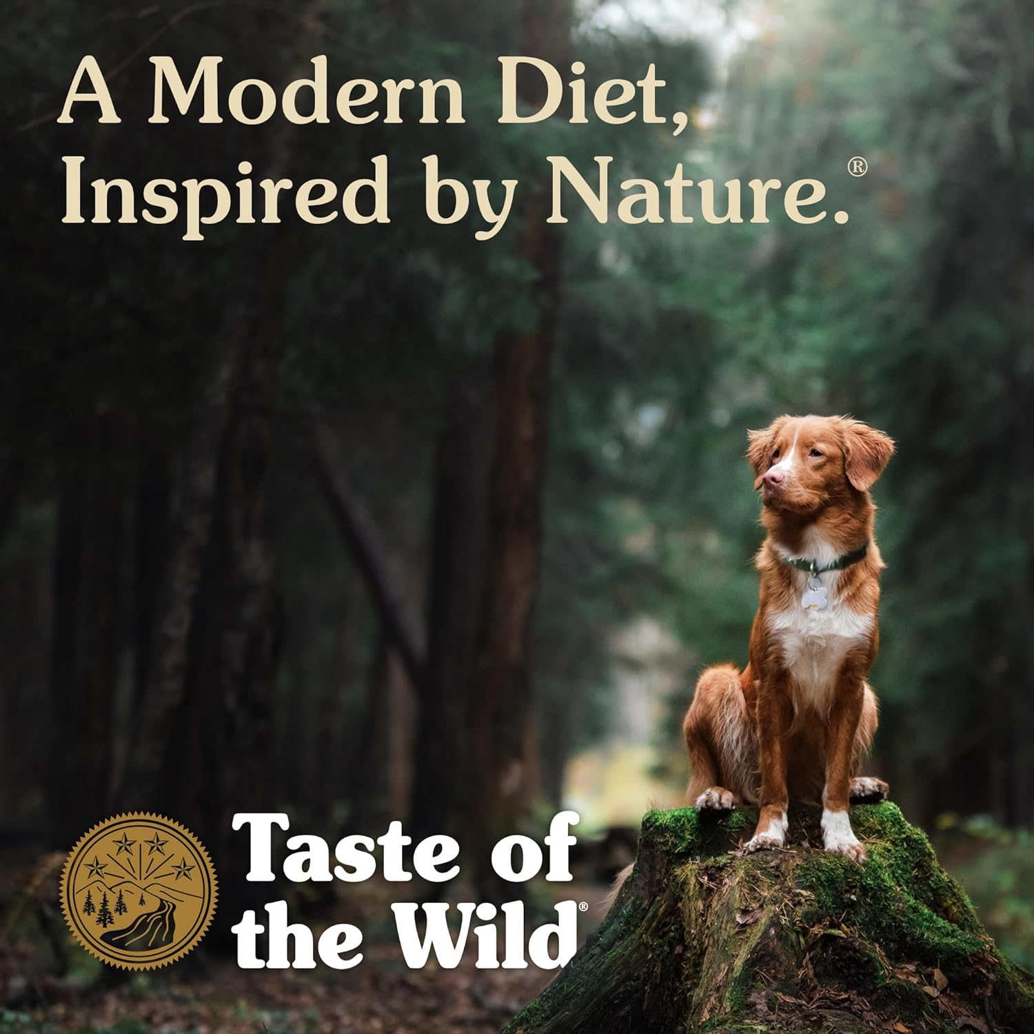Taste of the Wild High Prairie Adult High Protein Grain-Free Recipe with Roasted Bison & Roasted Venison Dry Dog Food 14lb - Image 7