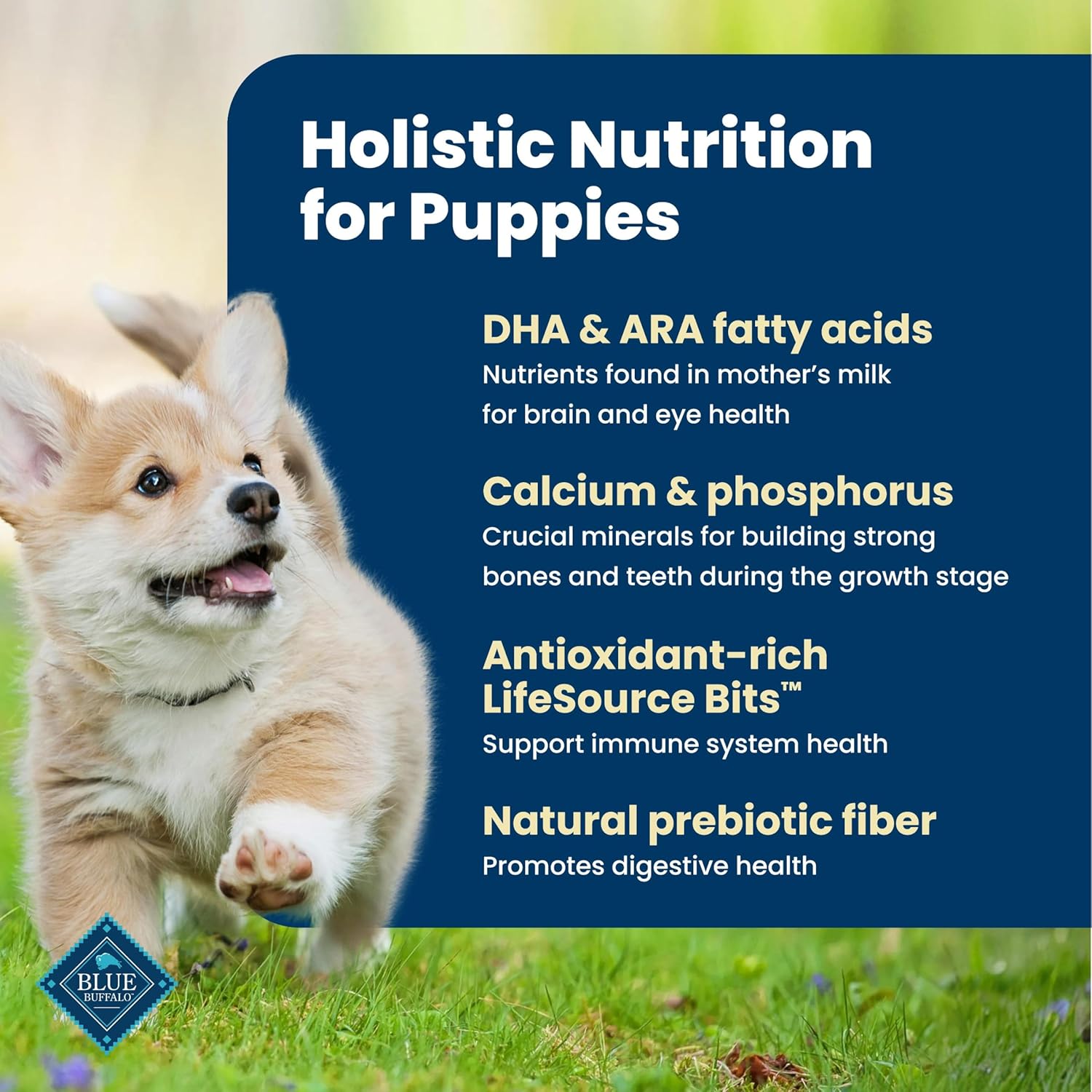 Blue Buffalo Life Protection Formula Chicken & Brown Rice Puppy Dry Dog Food with DHA & ARA, Supports Immunity with Antioxidant-Rich LifeSource Bits, Promotes Healthy Muscles & Strong Bones, 5 lbs. - Image 3
