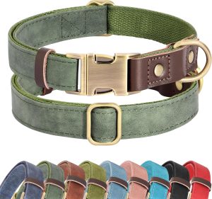 Dog Collars
