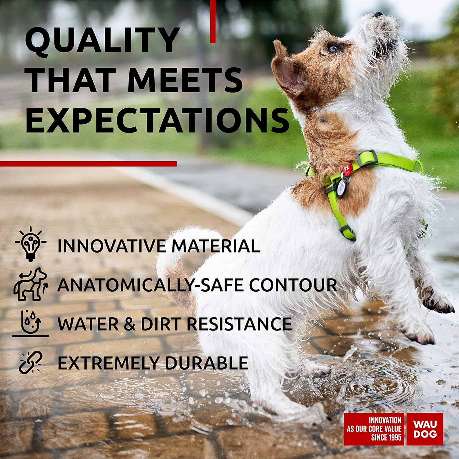 WAUDOG Waterproof Harness - Adjustable for Large, Small and Medium Dogs - Heavy Duty with Durable Metal Clasp and QR Tag - Boy & Girl - Green (16-22in) - Image 4