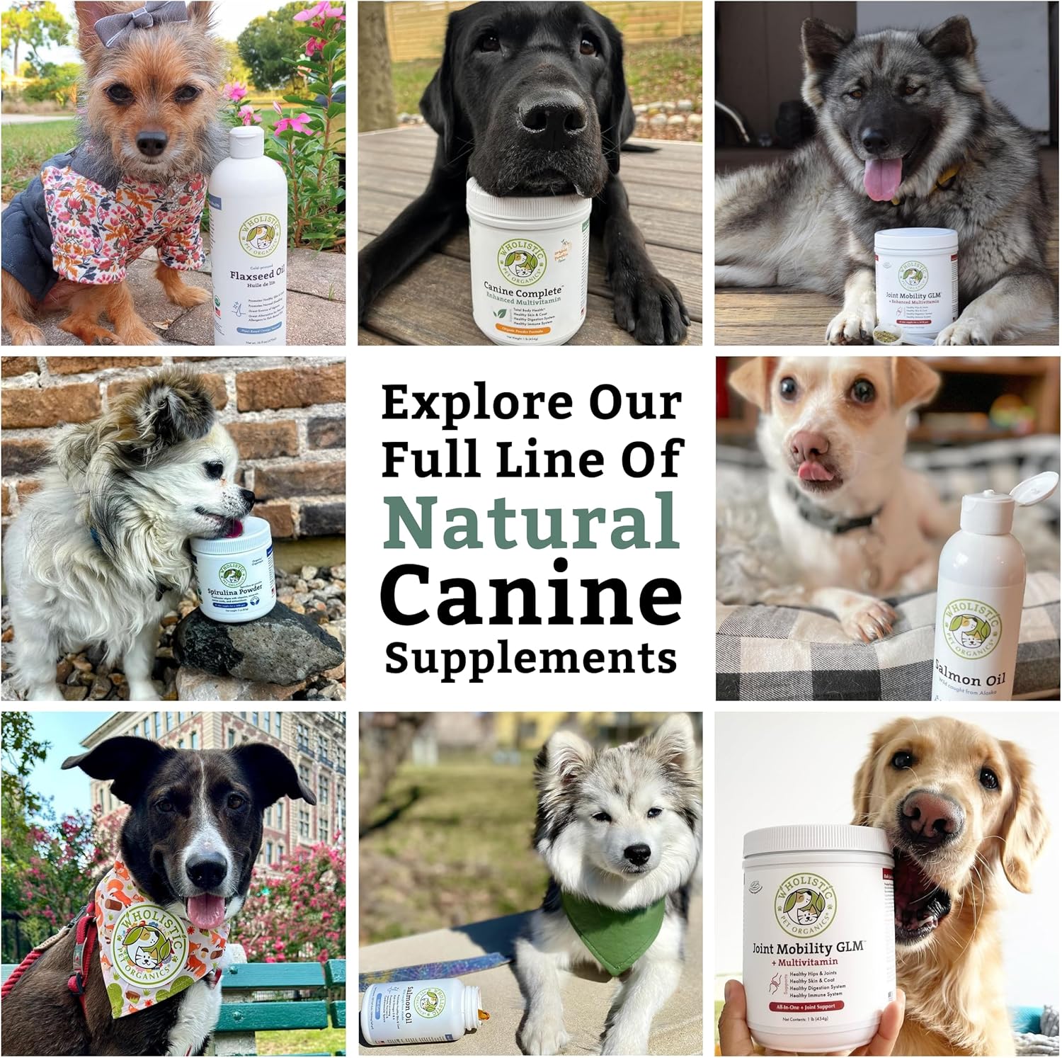 Wholistic Pet Organics Canine Complete - Dog Multivitamin Powder - 1 Lb - Daily Dog Vitamins and Supplements for Homemade Food - Immune System, Skin, Coat & Overall Health - All Breeds - 45 Scoops - Image 9