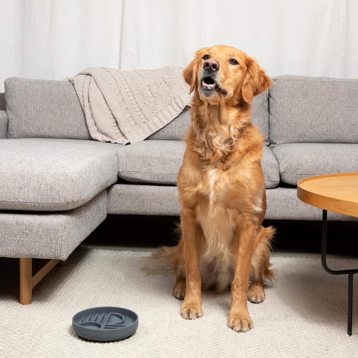 Should We Go? Slow Feeder Dog Bowls - Medium Size Silicone Slow Eating Dog Bowl for Puppies & Dogs with Suction Cup -Dishwasher-Safe, Lick Mat Design, Reduces Gulping,for All Breeds,7.5”x1.5”- Sage - Image 6