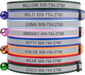 GoTags Personalized Reflective Cat ...