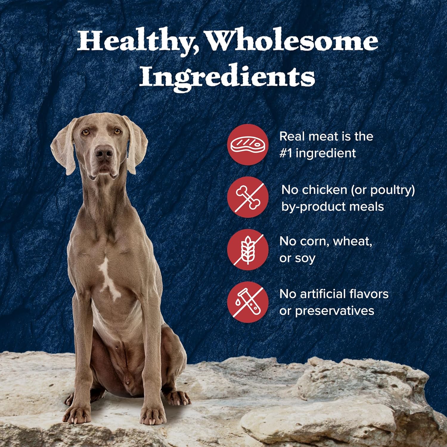Blue Buffalo Wilderness Rocky Mountain Red Meat Senior Wet Dog Food, 25g Protein, Chicken-Free Recipe Made with Natural Ingredients, High-Protein & Grain-Free, 12.5-oz. Cans (12 Count) - Image 6