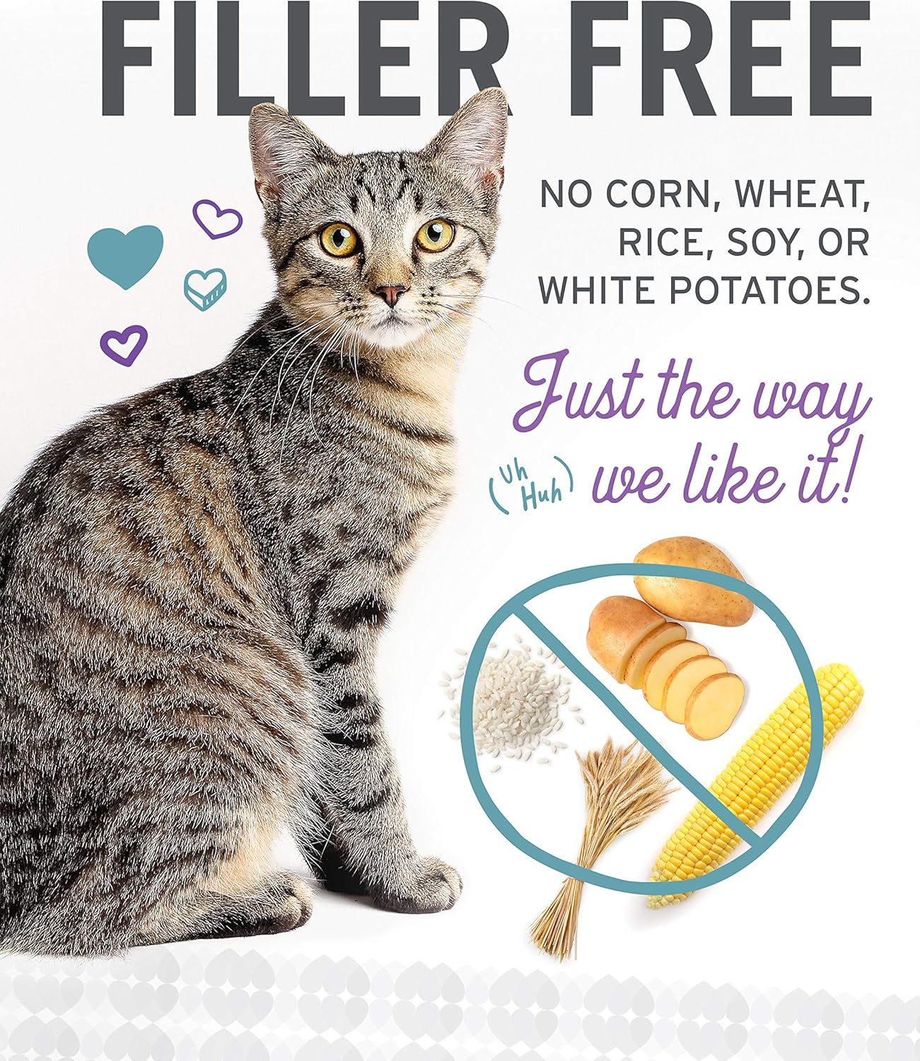 I and love and you Wet Cat Food - Ninja Cat Jiu Jit Stew Variety Pack - Chicken, Salmon, Tuna, Grain Free, Filler Free, 3oz Pack of 12 Cans - Image 5