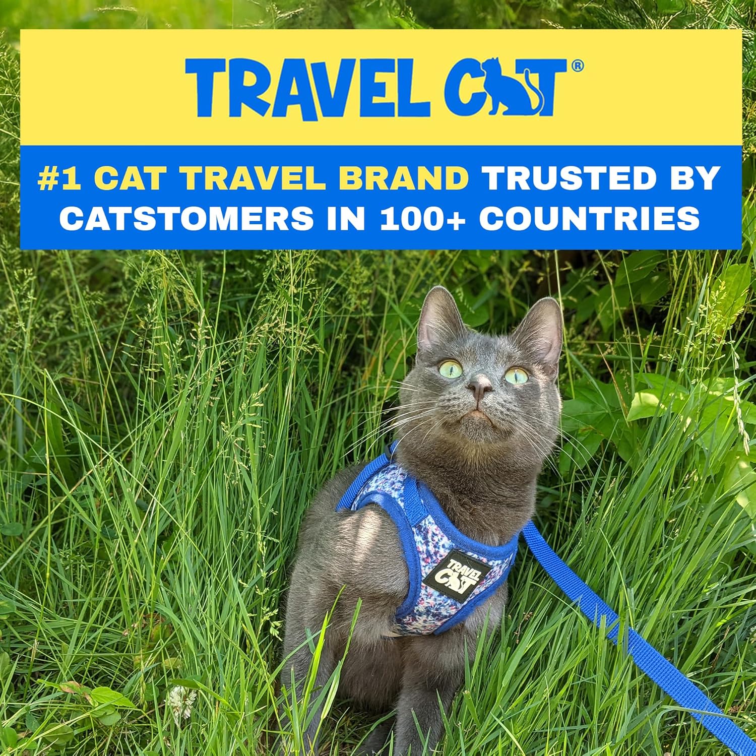 Travel Cat Harness and Leash Set - Adjustable Fit Mesh Cat Harness and Reflective Strap - Comfort Walking Vest for Kitten for Outdoor Walking, Hiking (Small, Groovy) - Image 6