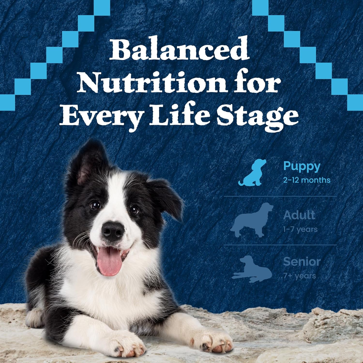 Blue Buffalo Wilderness High-Protein Rocky Mountain Recipe Dry Food for Puppies, Red Meat & Grains, 24-lb Bag - Image 8