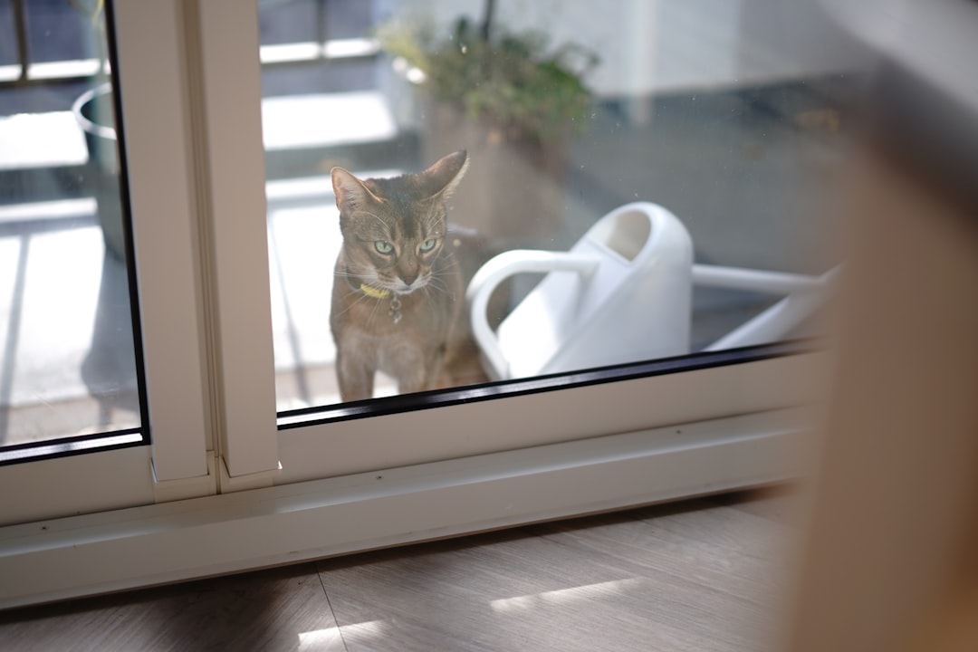 Cozy small apartment with pet-friendly furniture and decor, featuring a happy dog and cat in a comfortable living space.