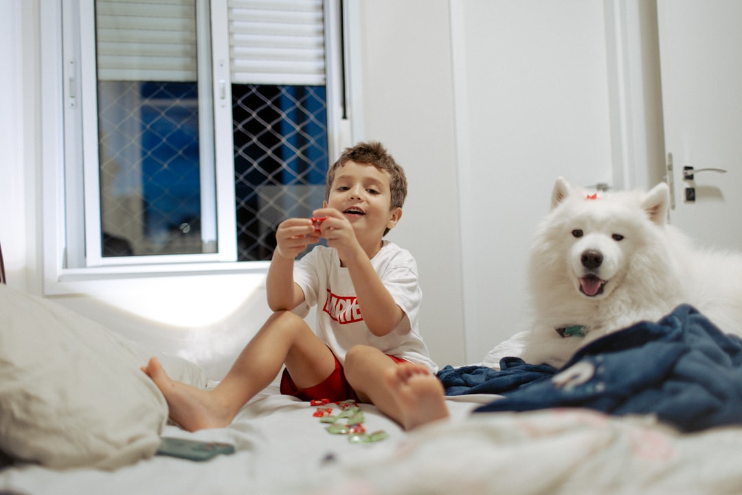 A happy dog playing with toys in a cozy living room, showcasing ways to keep pets entertained indoors.