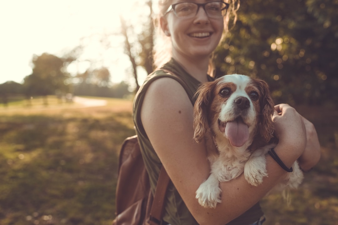 A happy dog and cat sitting together in a car, ready for a road trip, with pet travel gear visible.