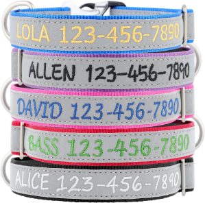 Personalized Dog Collar, Custom Emb...